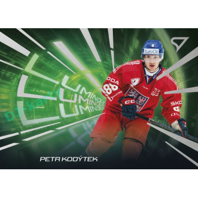 2025 Sportzoo Hokejové ČESKO #LS-15 Petr Kodýtek Luminous