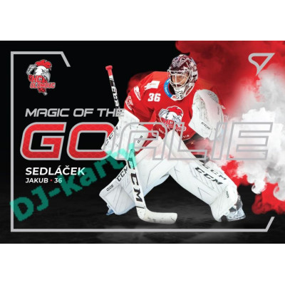 2021/22 Sportzoo TIPSPORT ELH Jakub Sedláček #MG-11 Magic of the GOALIE