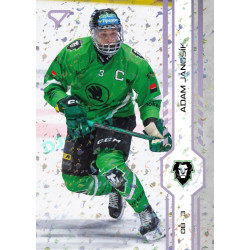 2024/25 Sportzoo ELH 1. serie #221 Adam Jánošík Puck Marks