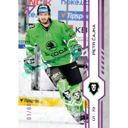 2024/25 Sportzoo ELH 1. serie #227 Petr Čajka Purple Iceberg xx/60