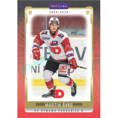 2024/25 Goal Cards Maxa liga 1. série #PCE-06 Martin Švec Parallel 1of15