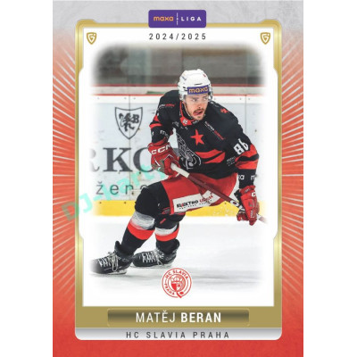 2024/25 Goal Cards Maxa liga 1. série #SLA-14 Matěj Beran Parallel 1of15