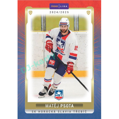 2024/25 Goal Cards Maxa liga 1. série #TRE-23 Matěj Psota Parallel 1of40