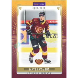 2024/25 Goal Cards Maxa liga 1. série #JIH-07 Matěj Vovsík Parallel 1of40