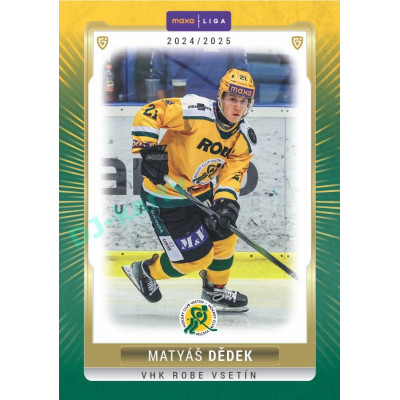 2024/25 Goal Cards Maxa liga 1. série #VSE-22 Matyáš Dědek Parallel 1of15