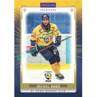 2024/25 Goal Cards Maxa liga 1. série #ZLI-19 Michal Gago Parallel 1of15