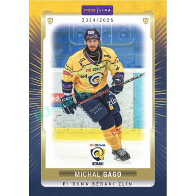 2024/25 Goal Cards Maxa liga 1. série #ZLI-19 Michal Gago Parallel 1of15