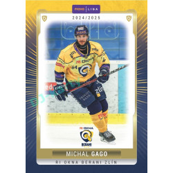 2024/25 Goal Cards Maxa liga 1. série #ZLI-19 Michal Gago Parallel 1of40