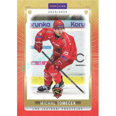 2024/25 Goal Cards Maxa liga 1. série #PRO-11 Michal Tomeček Parallel 1of15