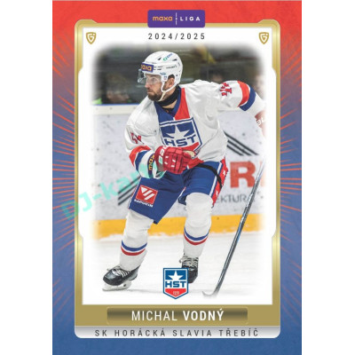 2024/25 Goal Cards Maxa liga 1. série #TRE-20 Michal Vodný Parallel 1of40