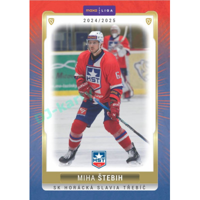 2024/25 Goal Cards Maxa liga 1. série #TRE-09 Miha Štebih Parallel 1of15