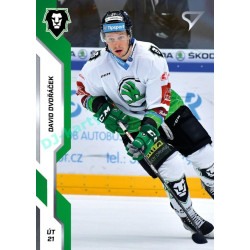 2022/23 Sportzoo ELH Extended #EX-16 David Dvořáček