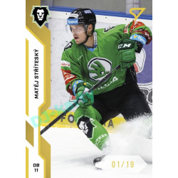 2022/23 Sportzoo ELH 1. série #062 Matěj Stříteský Gold xx/19