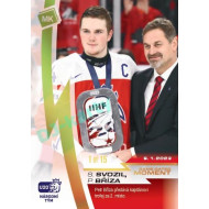 2023 MK reprezentace #44 Stanislav Svozil / Petr Bříza Gold parallel 1 of 15