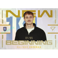 2024/25 Sportzoo Chance Liga 2. série #NB-14 Dalibor Večerka New Beginning Rainbow Gold xx/95