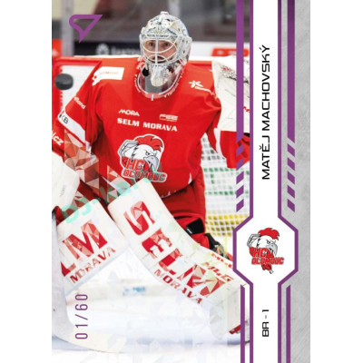 2024/25 Sportzoo ELH 1. serie #163 Matěj Machovský Purple Iceberg xx/60