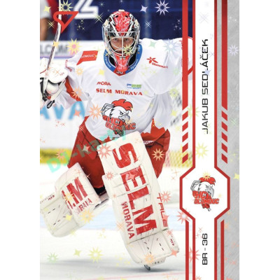 2024/25 Sportzoo ELH 1. serie #164 Jakub Sedláček Red Sparks