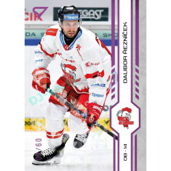 2024/25 Sportzoo ELH 1. serie #170 Dalibor Řezníček Purple Iceberg xx/60