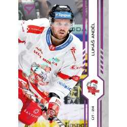 2024/25 Sportzoo ELH 1. serie #172 Lukáš Anděl Purple Iceberg xx/60
