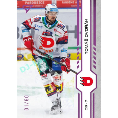 2024/25 Sportzoo ELH 1. serie #022 Tomáš Dvořák Purple Iceberg xx/60