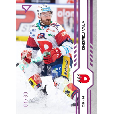 2024/25 Sportzoo ELH 1. serie #027 Ondřej Vála Purple Iceberg xx/60