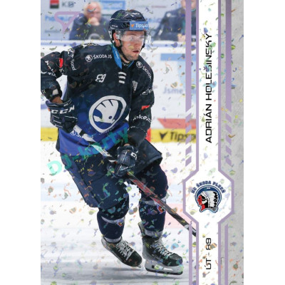 2024/25 Sportzoo ELH 1. serie #209 Adrián Holešinský Puck Marks
