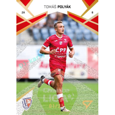 2024/25 Sportzoo Chance Liga 2. série #314 Tomáš Polyák Gold Glitter xx/25