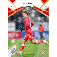 2024/25 Sportzoo Chance Liga 2. série #316 Filip Šancl Gold Glitter xx/25