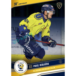 2024/25 Goal Cards Maxa liga 1. série #ZLI30-15 Pavel Sedláček 30 let od finále