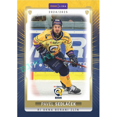2024/25 Goal Cards Maxa liga 1. série #ZLI-18 Pavel Sedláček Parallel 1of15