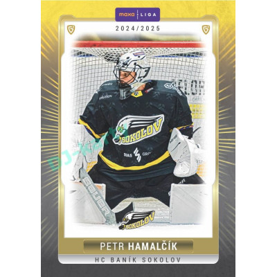 2024/25 Goal Cards Maxa liga 1. série #SOK-03 Petr Hamalčík Parallel 1of15