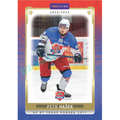 2024/25 Goal Cards Maxa liga 1. série #POR-13 Petr Hašek Parallel 1of15