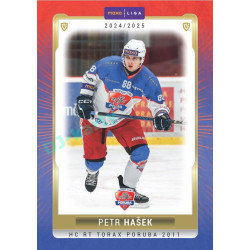 2024/25 Goal Cards Maxa liga 1. série #POR-13 Petr Hašek Parallel 1of40
