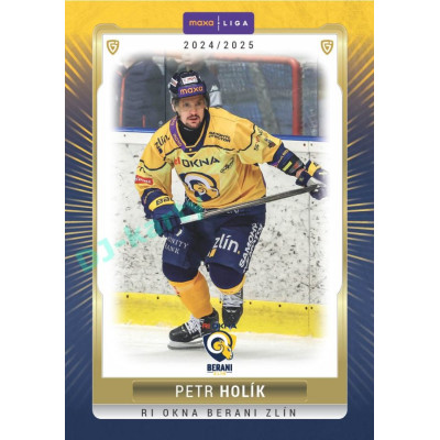 2024/25 Goal Cards Maxa liga 1. série #ZLI-13 Petr Holík Parallel 1of40