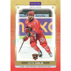 2024/25 Goal Cards Maxa liga 1. série #PRO-05 Petr Šidlík Parallel 1of40