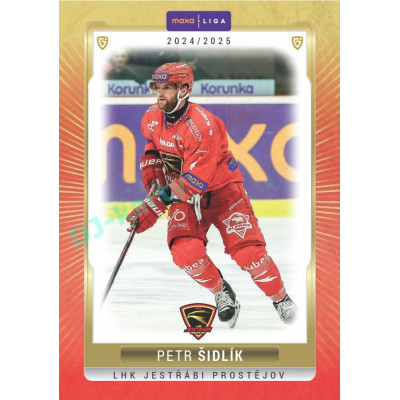 2024/25 Goal Cards Maxa liga 1. série #PRO-05 Petr Šidlík Parallel 1of40