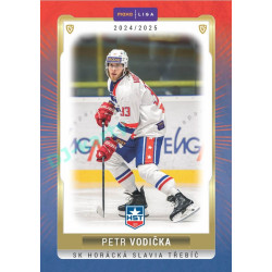 2024/25 Goal Cards Maxa liga 1. série #TRE-06 Petr Vodička Parallel 1of40