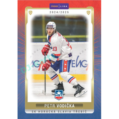 2024/25 Goal Cards Maxa liga 1. série #TRE-06 Petr Vodička Parallel 1of40