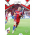 2024/25 Sportzoo Chance Liga 2. série #226 Erik Jirka