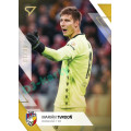 Gold xx/99