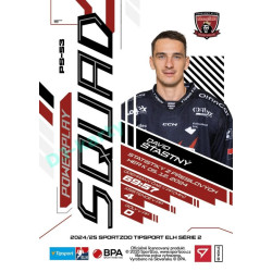 2024/25 Sportzoo ELH 2. serie #PS-53 David Šťastný Powerplay Squad