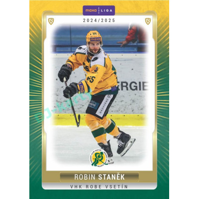 2024/25 Goal Cards Maxa liga 1. série #VSE-07 Robin Staněk Parallel 1of40