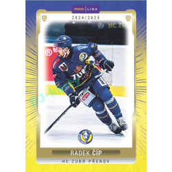 2024/25 Goal Cards Maxa liga 1. série #PRE-22 Radek Číp Parallel 1of15
