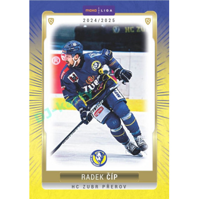 2024/25 Goal Cards Maxa liga 1. série #PRE-22 Radek Číp Parallel 1of15