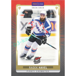 2024/25 Goal Cards Maxa liga 1. série #CHOM-10 Radek Havel Parallel 1of40