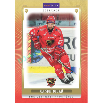 2024/25 Goal Cards Maxa liga 1. série #PRO-18 Radek Pilař Parallel 1of15