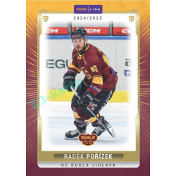 2024/25 Goal Cards Maxa liga 1. série #JIH-19 Radek Pořízek Parallel 1of40