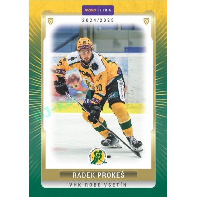 2024/25 Goal Cards Maxa liga 1. série #VSE-16 Radek Prokeš Parallel 1of15