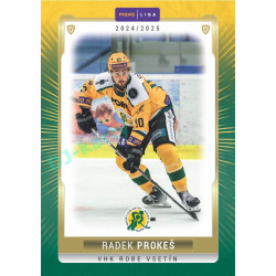 2024/25 Goal Cards Maxa liga 1. série #VSE-16 Radek Prokeš Parallel 1of40