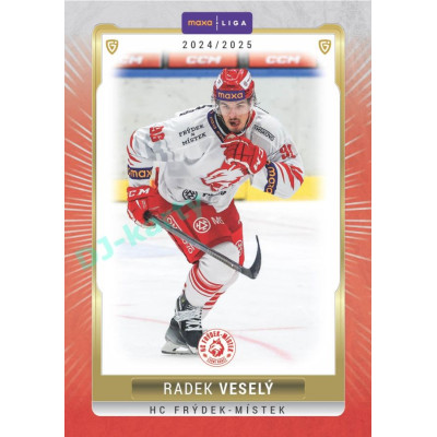 2024/25 Goal Cards Maxa liga 1. série #FMI-14 Radek Veselý Parallel 1of15
